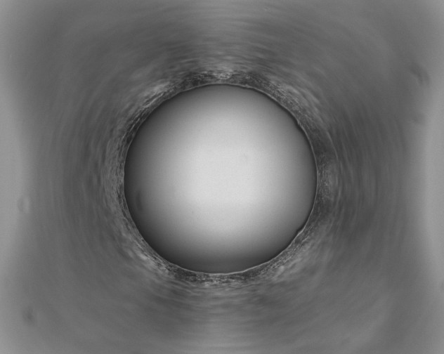 X0000112881105200909041635