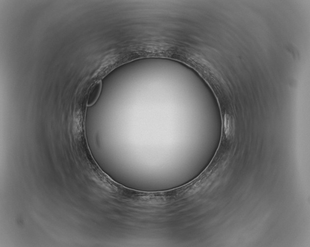 X0000112881107200909041635