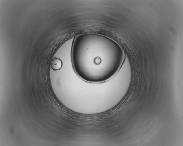 X0000112881108200909041635