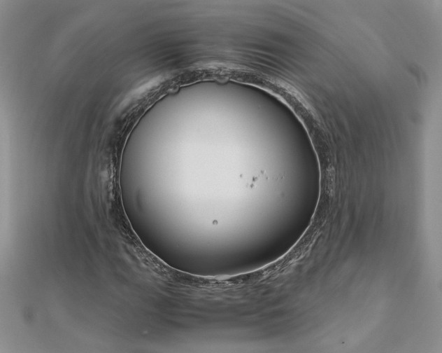 X0000112881111200909041635