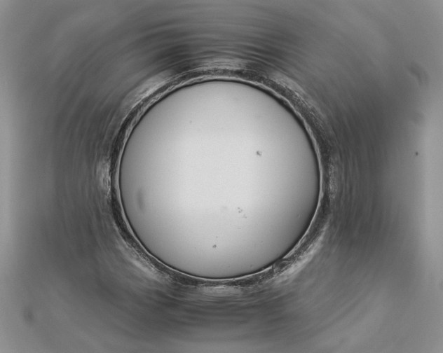 X0000112881113200909041636