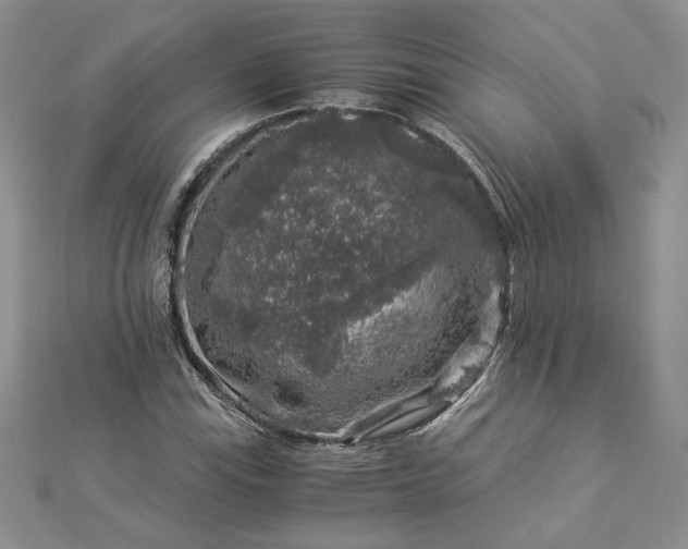 X0000112881115200909041636