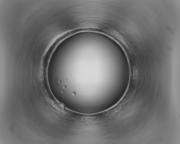 X0000112881116200909041636