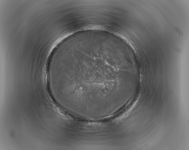 X0000112881117200909041636