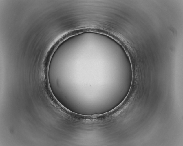 X0000112881118200909041636