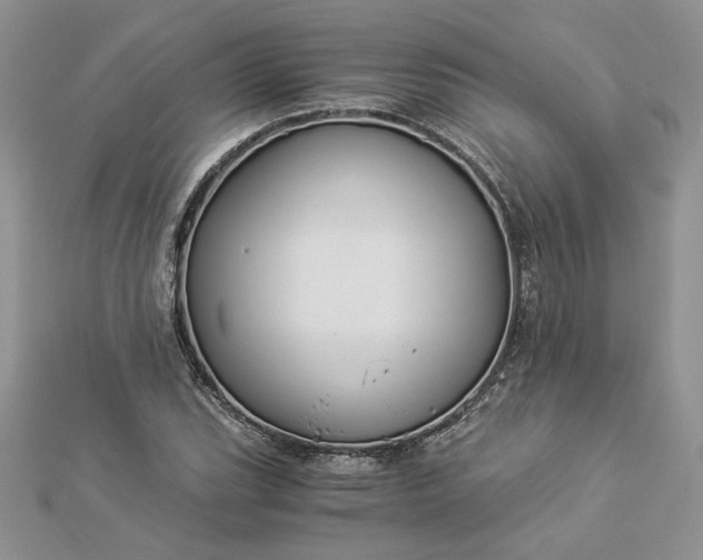 X0000112881119200909041636