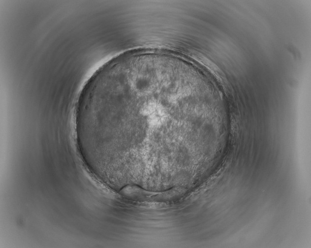 X0000112881120200909041636