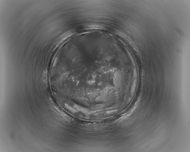 X0000112881121200909041636