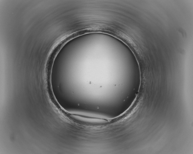 X0000112881122200909041636