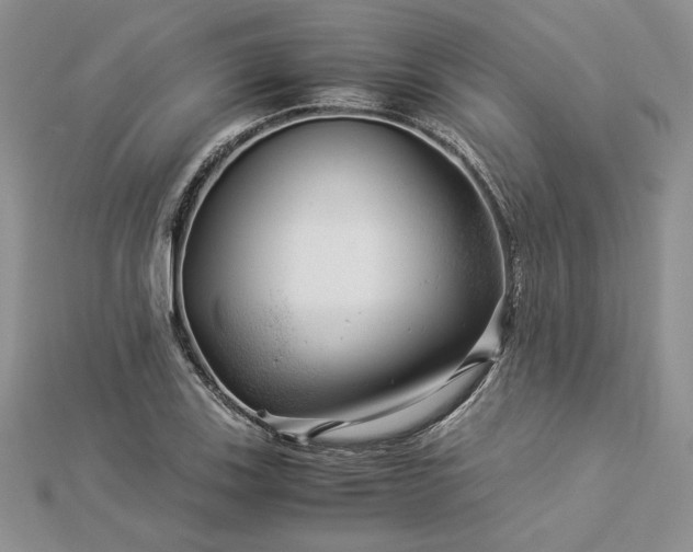 X0000112881123200909041636