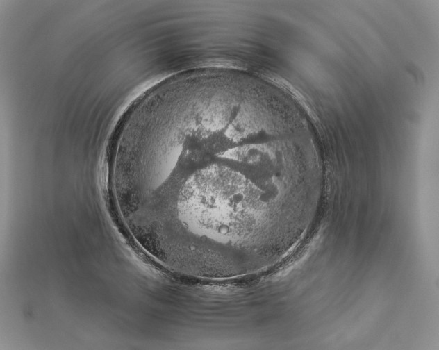 X0000112881125200909041636