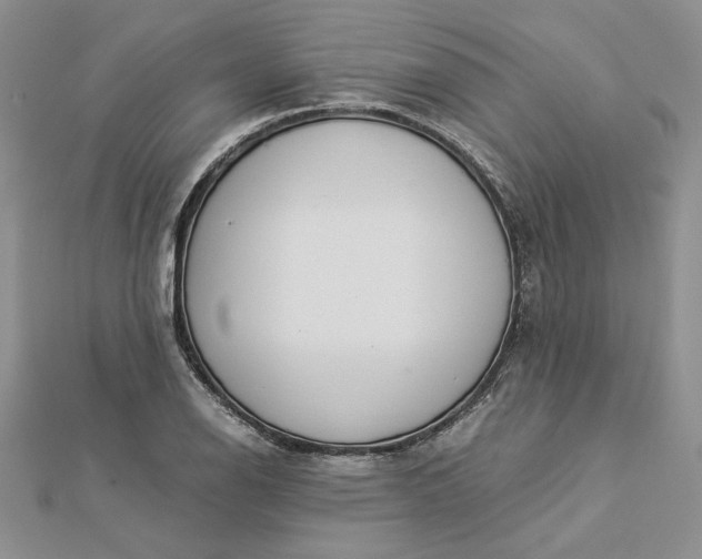 X0000112881126200909041636