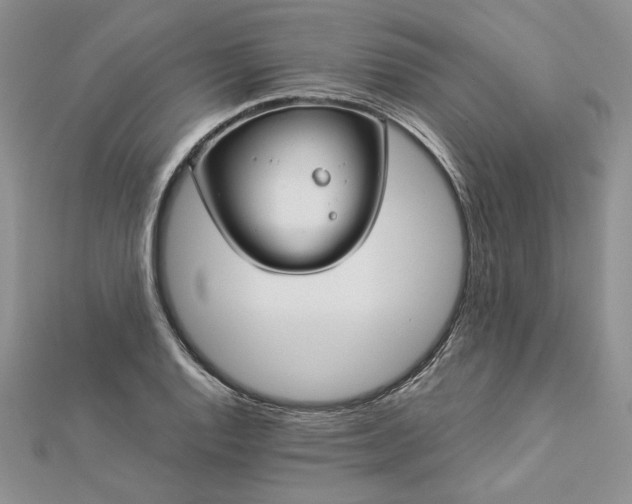 X0000112881128200909041636