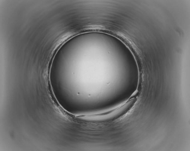 X0000112881129200909041636