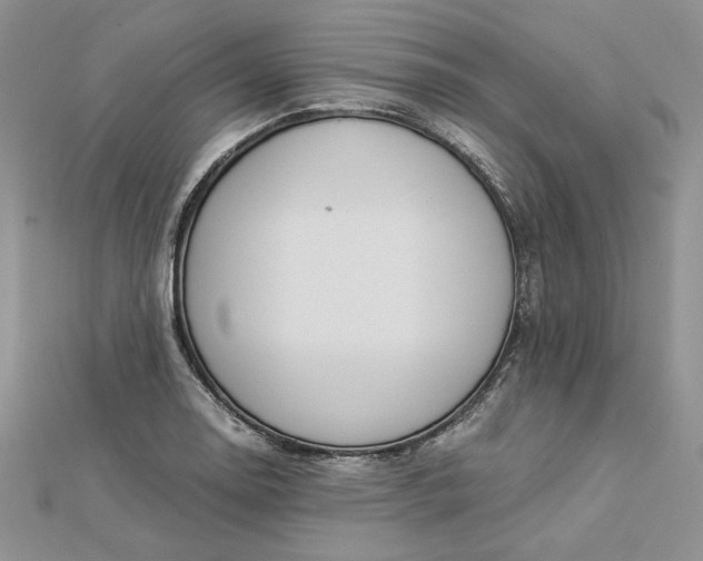 X0000112881130200909041636