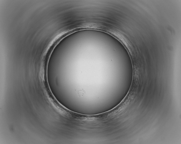 X0000112881131200909041636