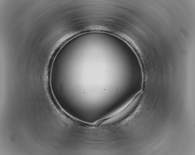 X0000112881133200909041636