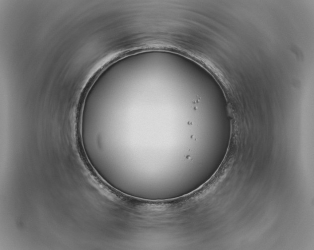 X0000112881134200909041636