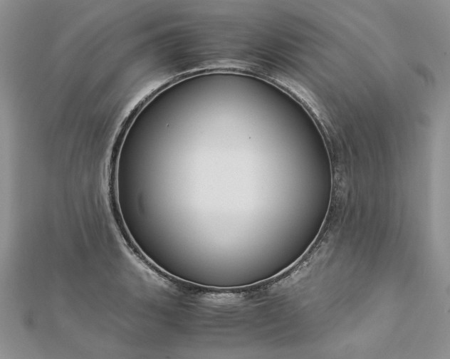 X0000112881135200909041636