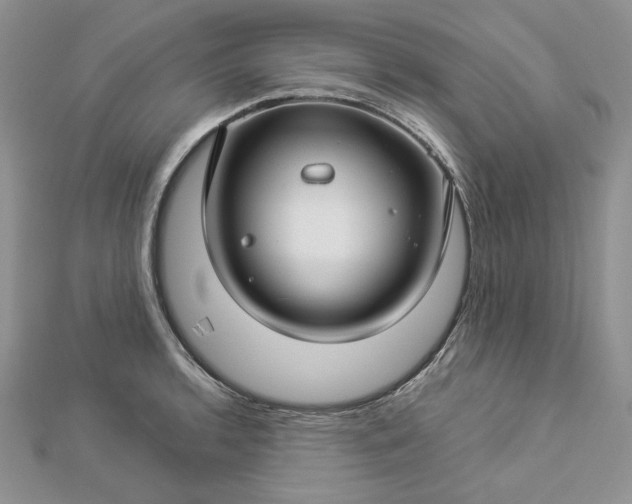 X0000112881136200909041636