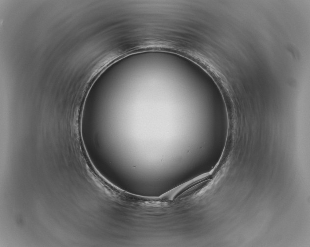 X0000112881137200909041636