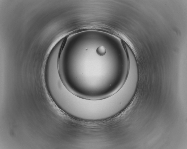 X0000112881138200909041636