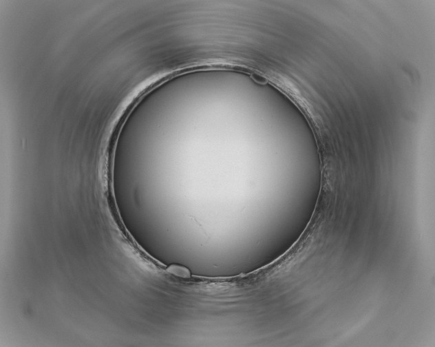 X0000112881140200909041636