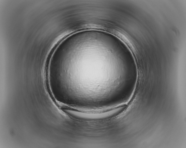 X0000112881141200909041636