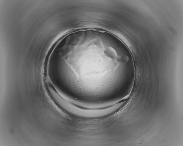 X0000112881142200909041636