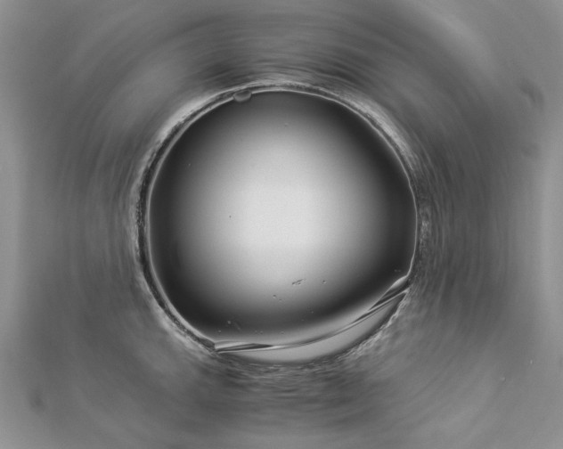 X0000112881143200909041636