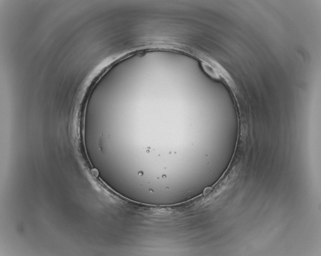 X0000112881144200909041636