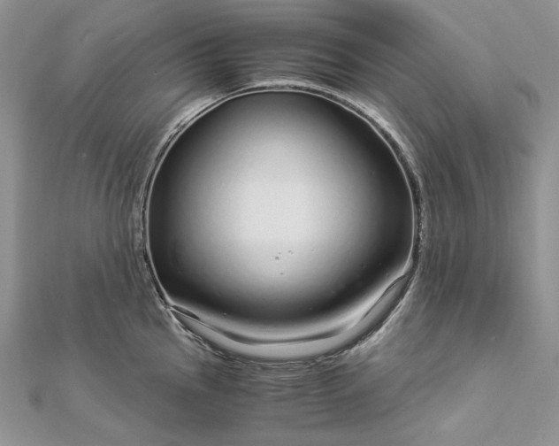 X0000112881145200909041636