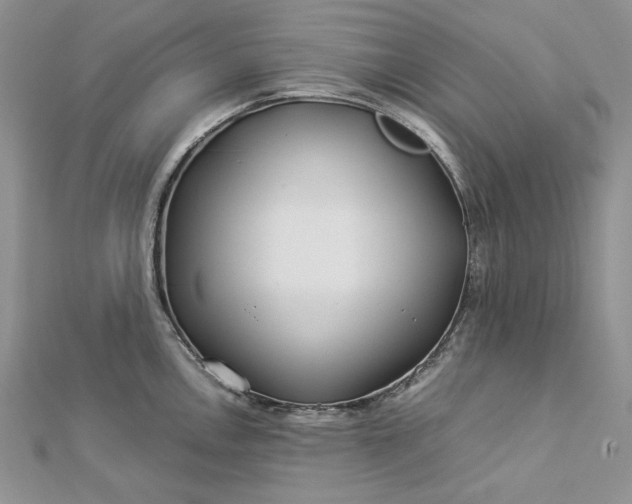 X0000112881146200909041636