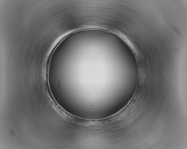 X0000112881148200909041636