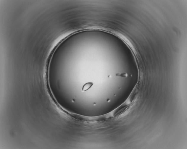 X0000112881149200909041636