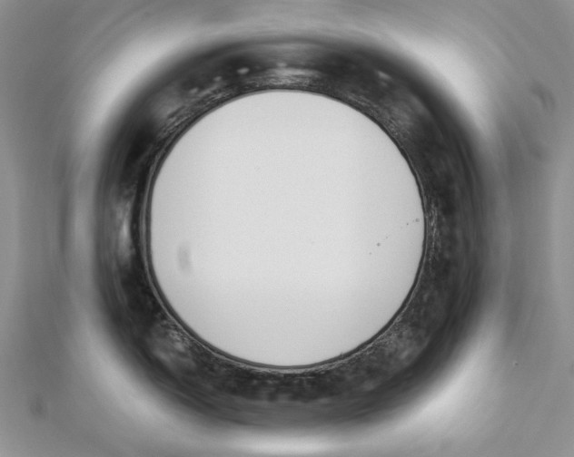 X0000112881150200909041636