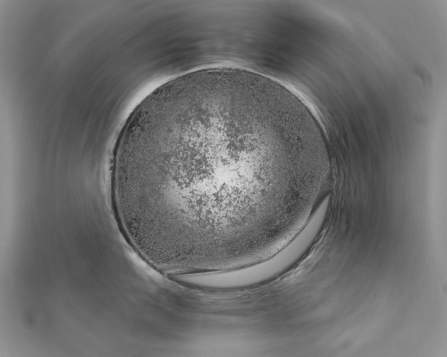 X0000112881151200909041636