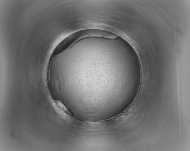 X0000112881152200909041636