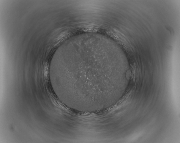 X0000112881154200909041635