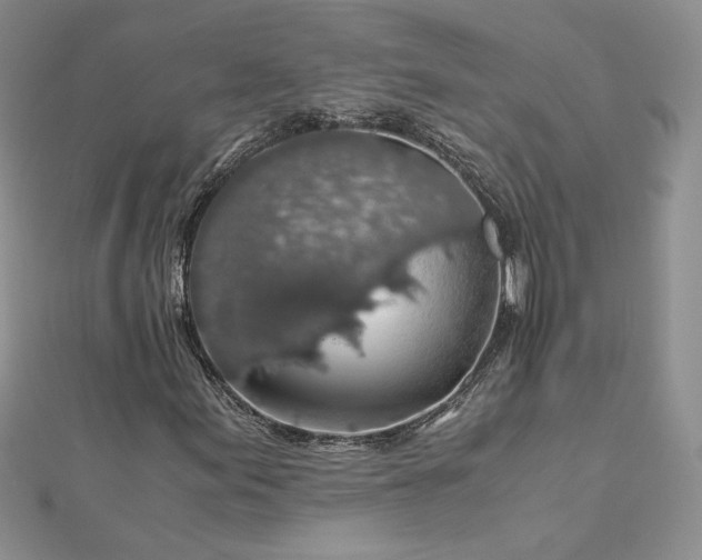 X0000112881155200909041635