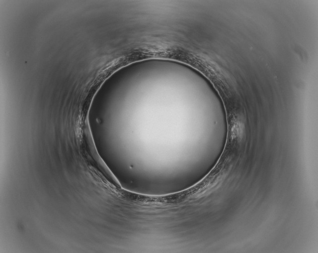 X0000112881156200909041635