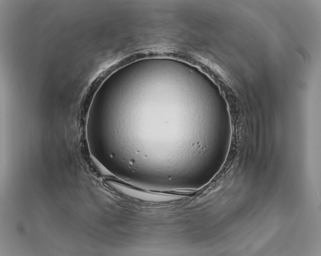 X0000112881160200909041635