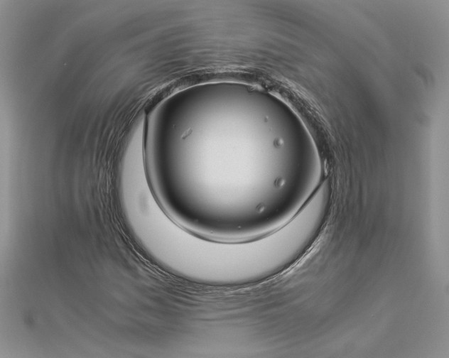 X0000112881161200909041635