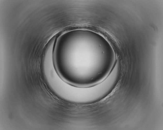 X0000112881162200909041635