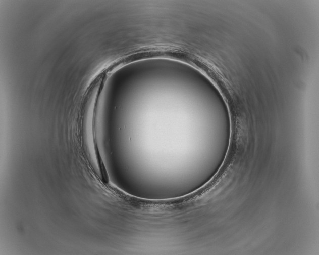 X0000112881163200909041635