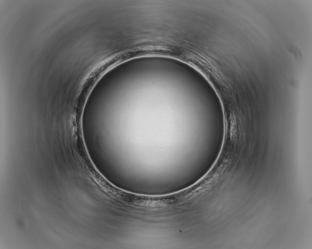 X0000112881164200909041635