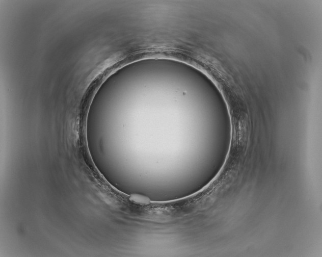 X0000112881165200909041635