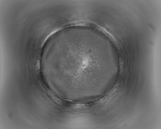 X0000112881166200909041635