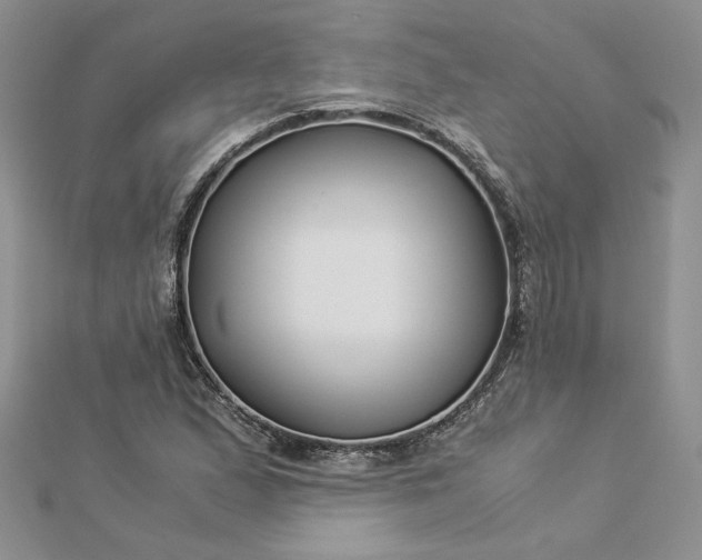 X0000112881167200909041635