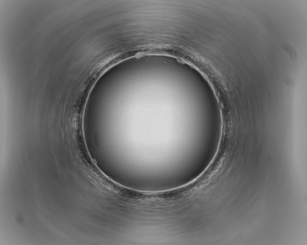 X0000112881169200909041635